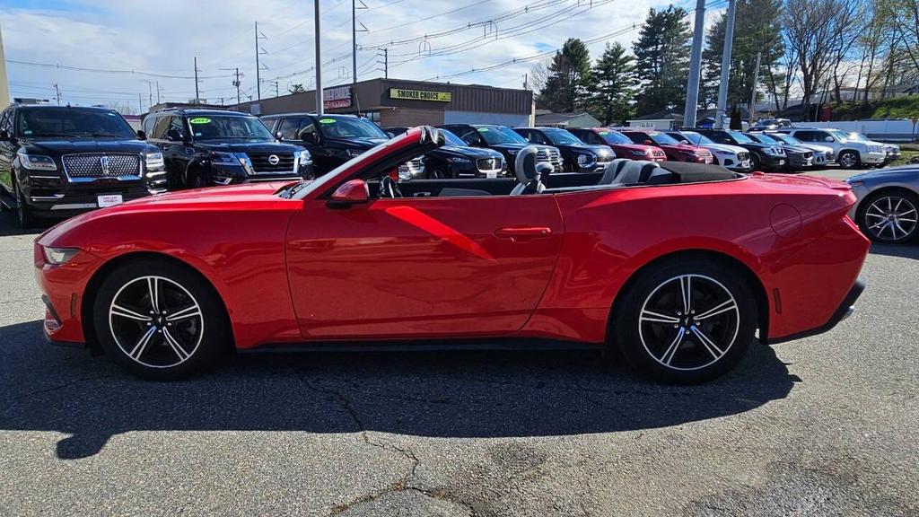 used 2024 Ford Mustang car