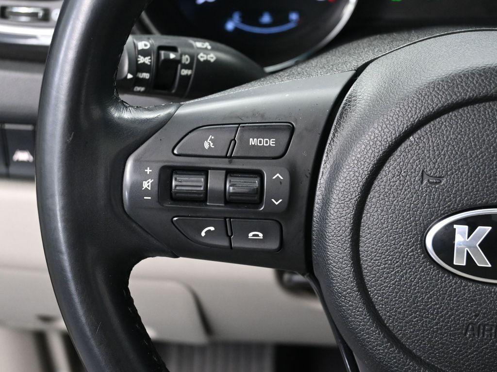 2021 Pantera Metal Kia Sedona