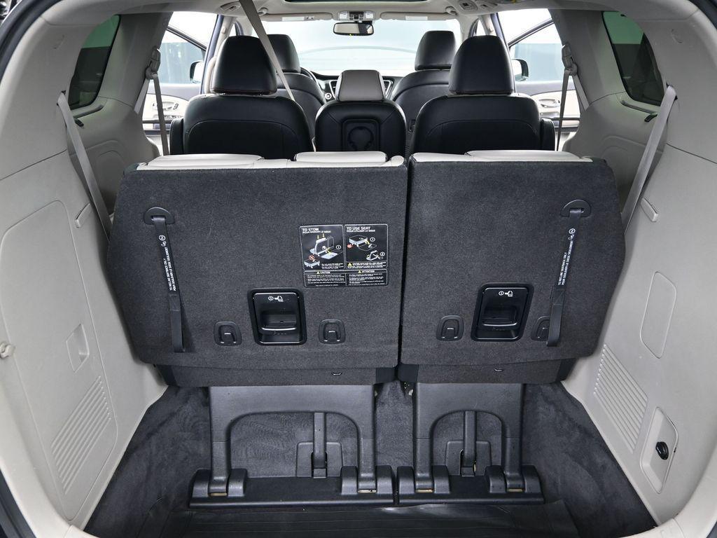 2021 Pantera Metal Kia Sedona