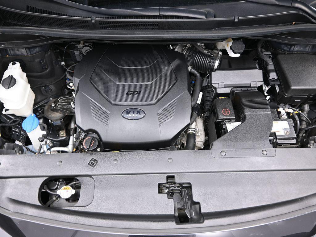 2021 Pantera Metal Kia Sedona