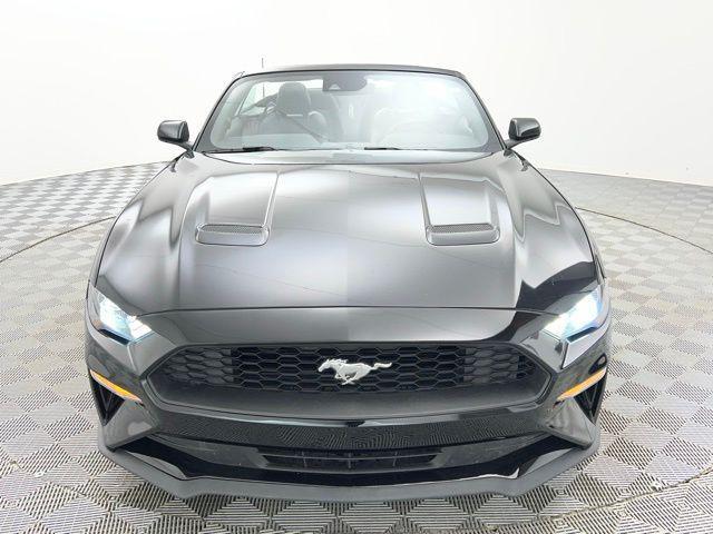 used 2023 Ford Mustang car, priced at $19,595