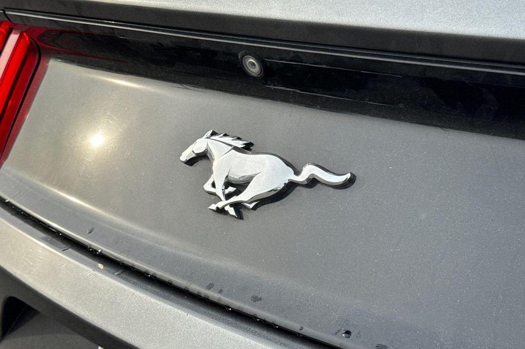 used 2017 Ford Mustang car, priced at $13,988