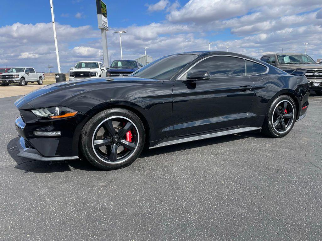 used 2019 Ford Mustang car