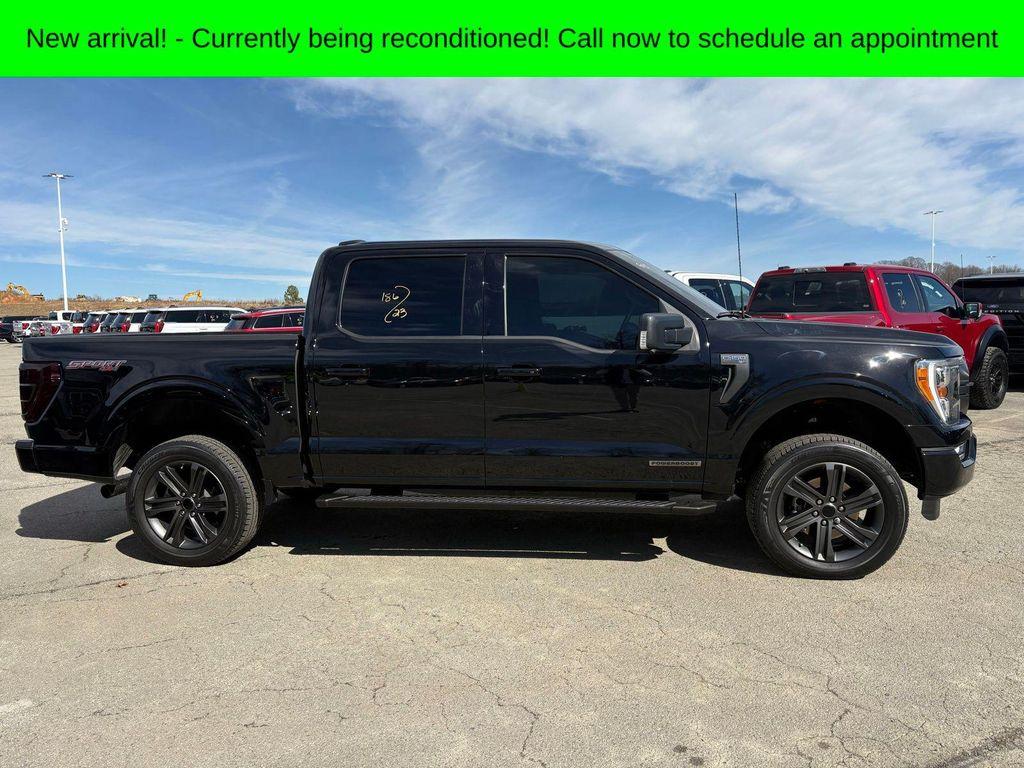 used 2023 Ford F-150 car, priced at $40,599