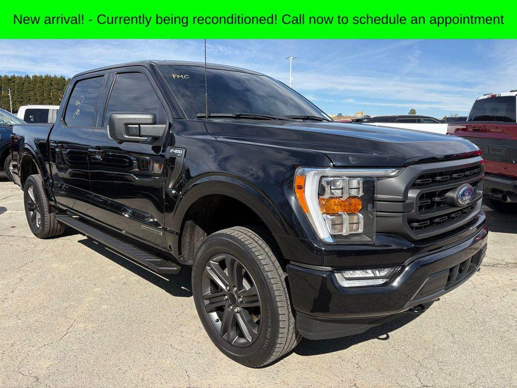 used 2023 Ford F-150 car, priced at $40,599