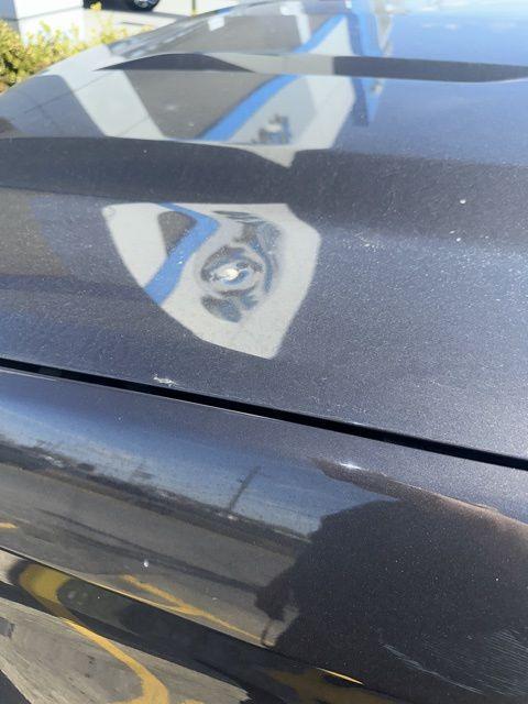 used 2021 Chevrolet Silverado 1500 car, priced at $33,697