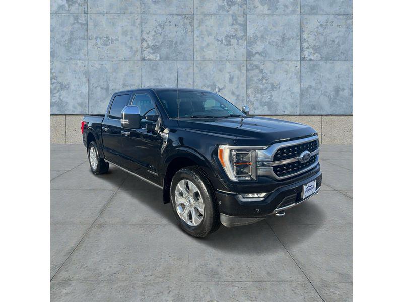 used 2023 Ford F-150 car, priced at $52,995