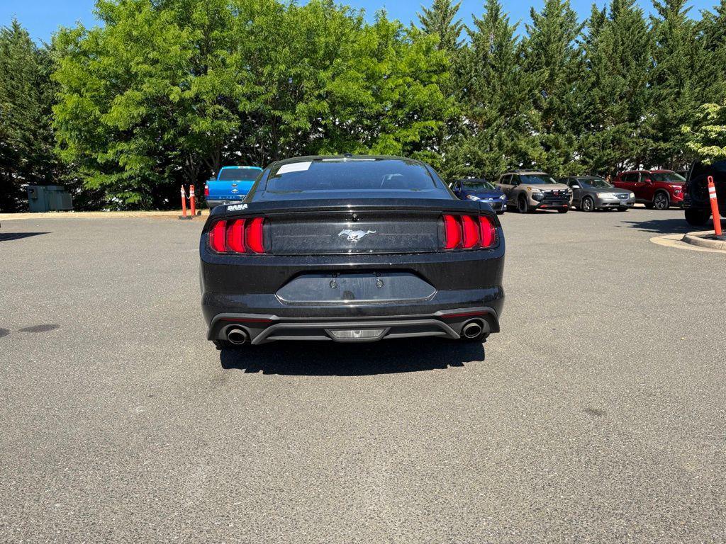 used 2019 Ford Mustang car, priced at $19,999