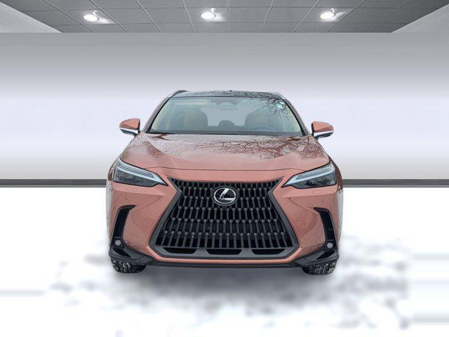 used 2025 Lexus NX 350h car, priced at $50,998