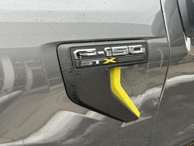 new 2025 Ford F-150 car, priced at $43,665