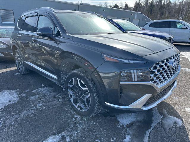 used 2023 Hyundai Santa Fe car, priced at $29,998