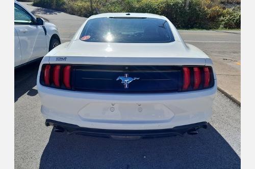 used 2019 Ford Mustang car, priced at $18,022