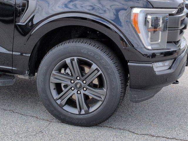 used 2023 Ford F-150 car, priced at $46,500