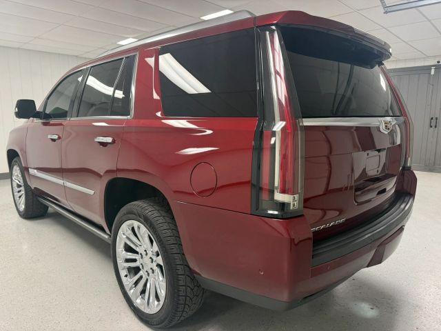 used 2019 Cadillac Escalade car, priced at $27,995