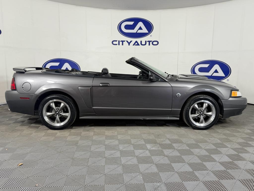 2004 BROWN Ford Mustang