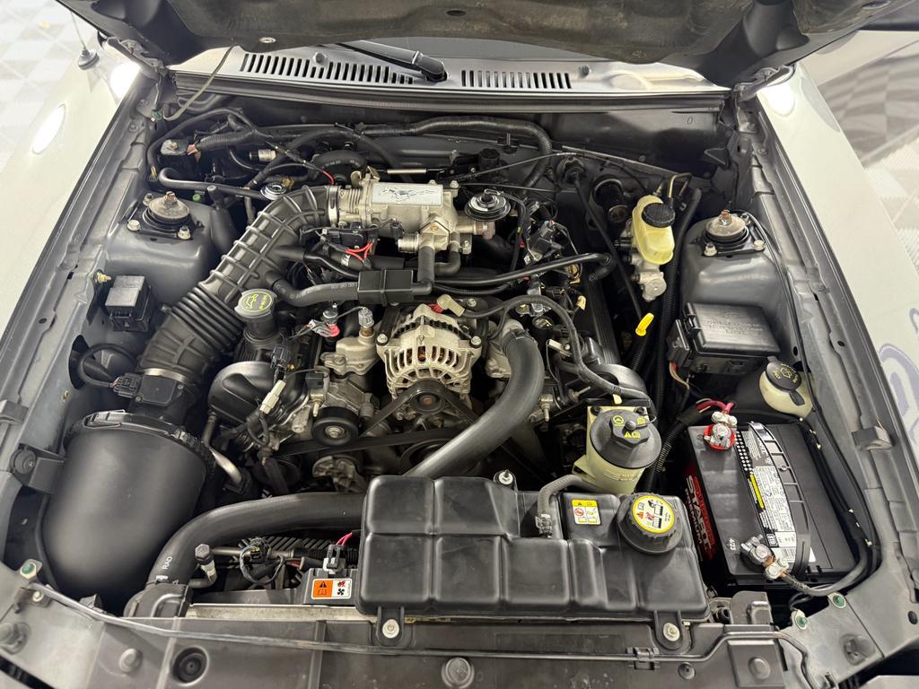 2004 BROWN Ford Mustang