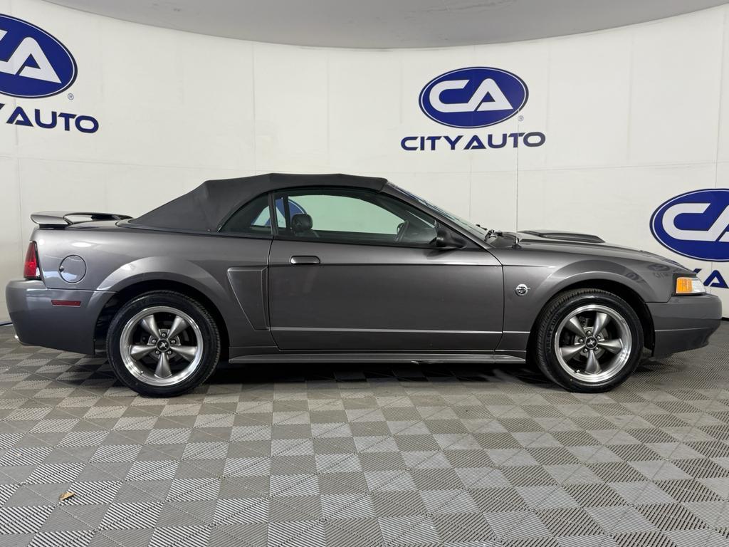2004 BROWN Ford Mustang