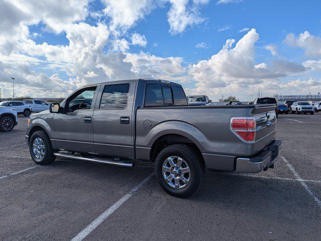 used 2014 Ford F-150 car