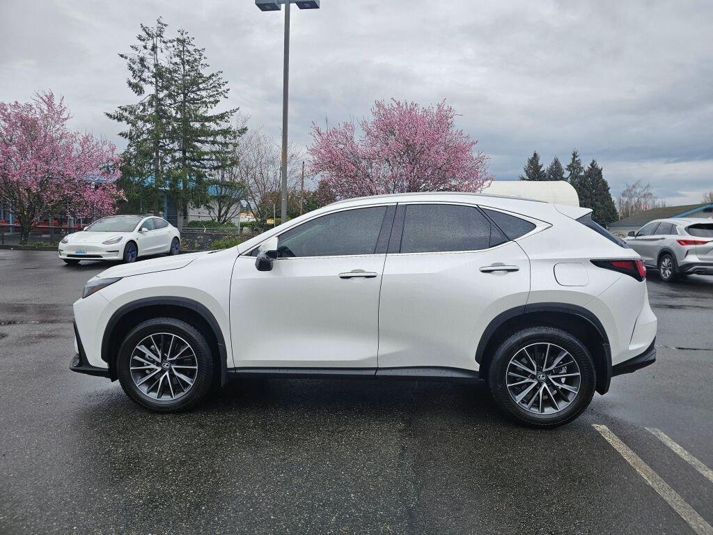 used 2025 Lexus NX 350 car, priced at $45,421