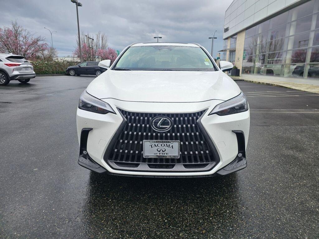 used 2025 Lexus NX 350 car, priced at $45,421