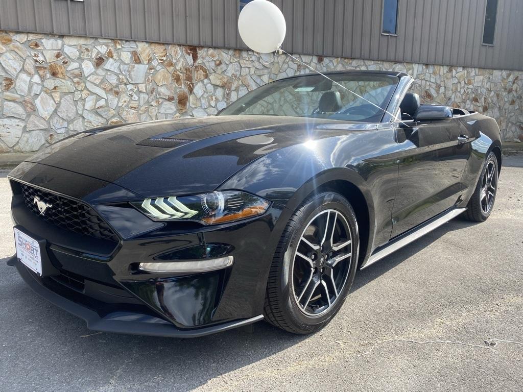 used 2022 Ford Mustang car, priced at $23,999