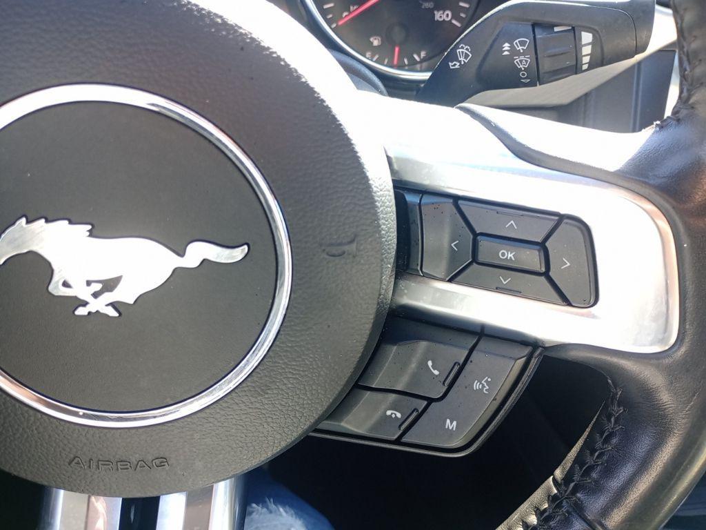 used 2022 Ford Mustang car, priced at $19,500