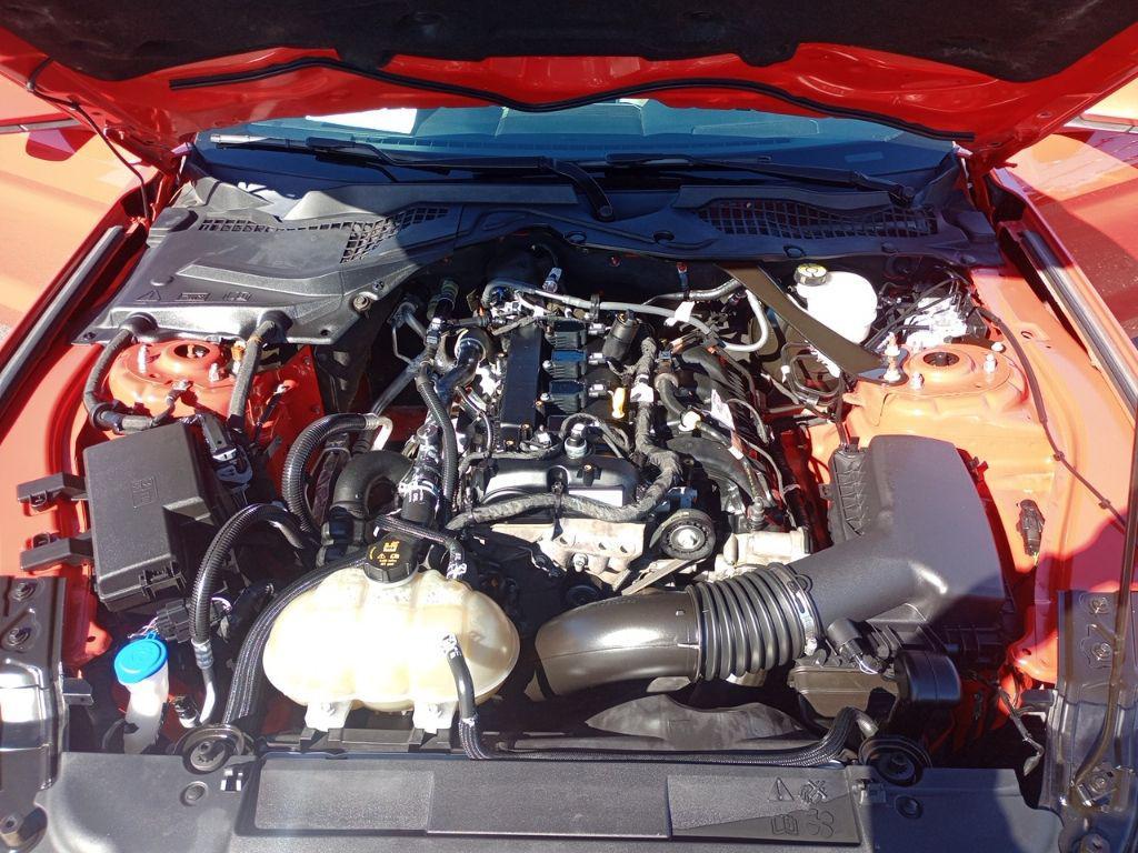 used 2022 Ford Mustang car, priced at $19,500