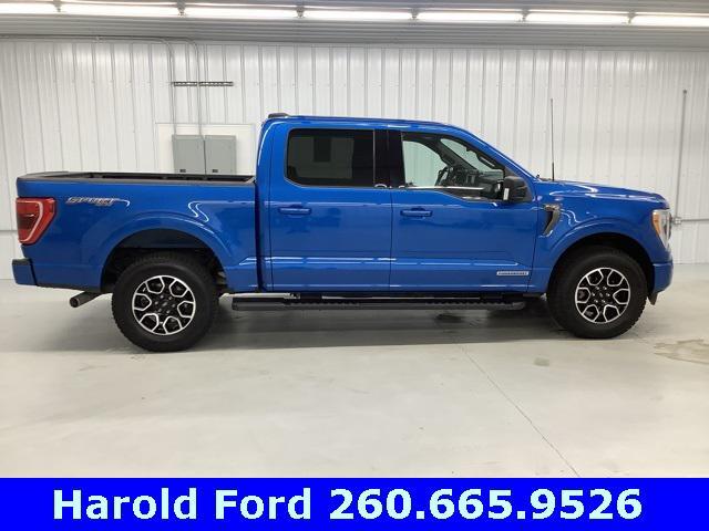 used 2021 Ford F-150 car, priced at $37,709