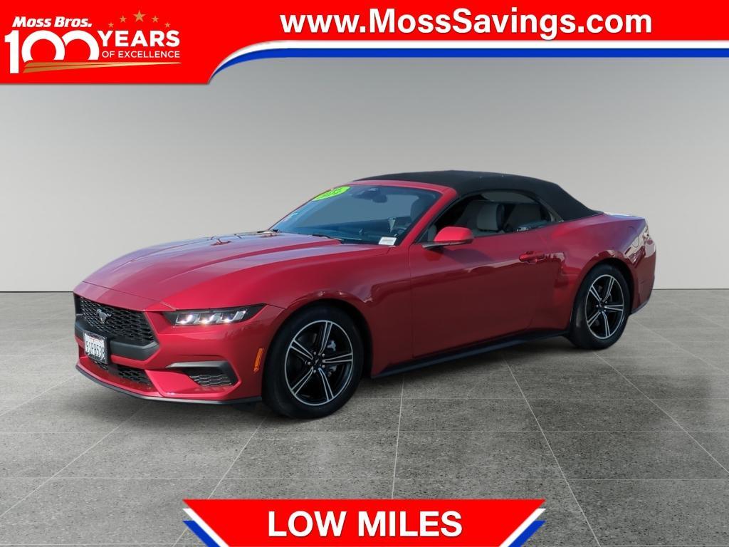 used 2024 Ford Mustang car