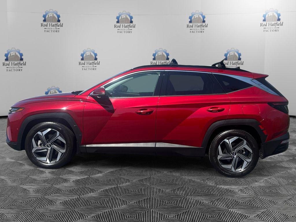 used 2024 Hyundai Tucson car, priced at $30,781