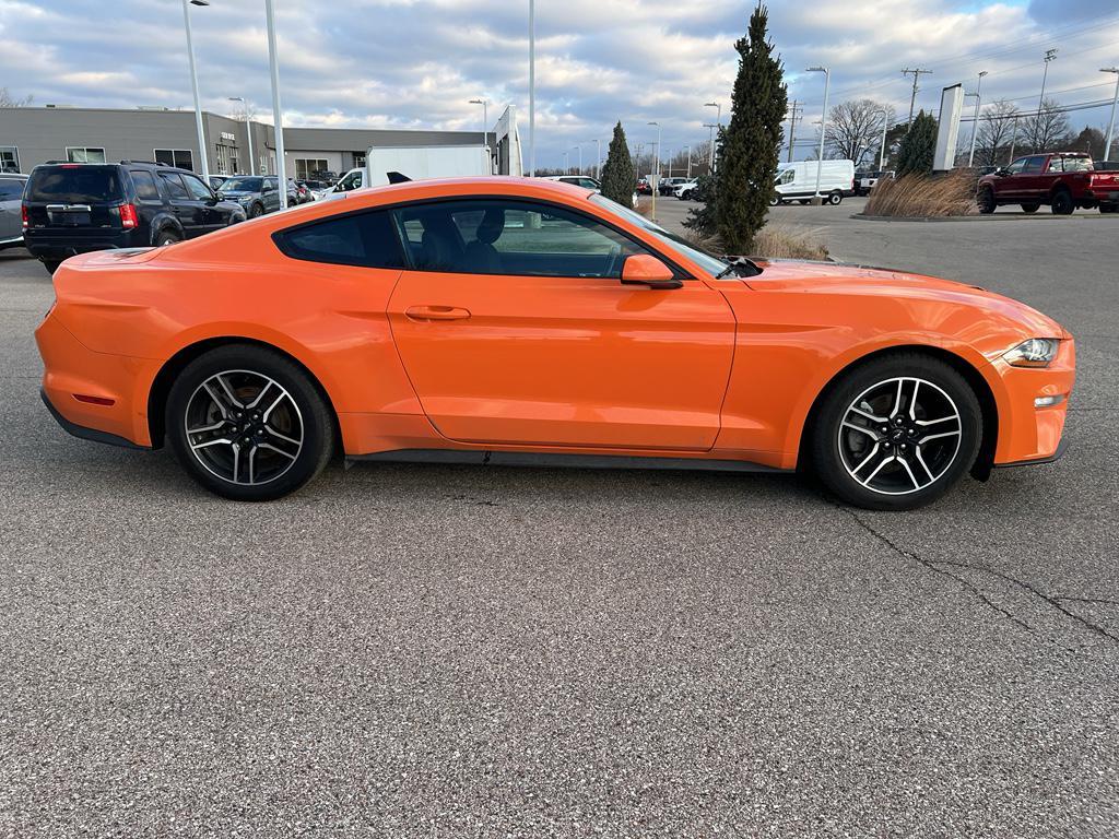 used 2021 Ford Mustang car