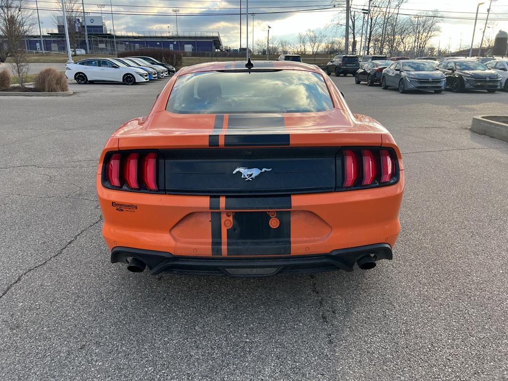 used 2021 Ford Mustang car