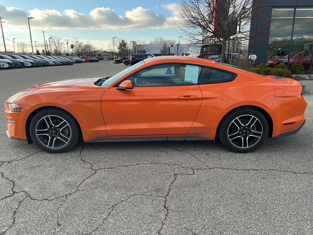 used 2021 Ford Mustang car