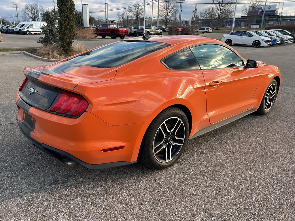 used 2021 Ford Mustang car