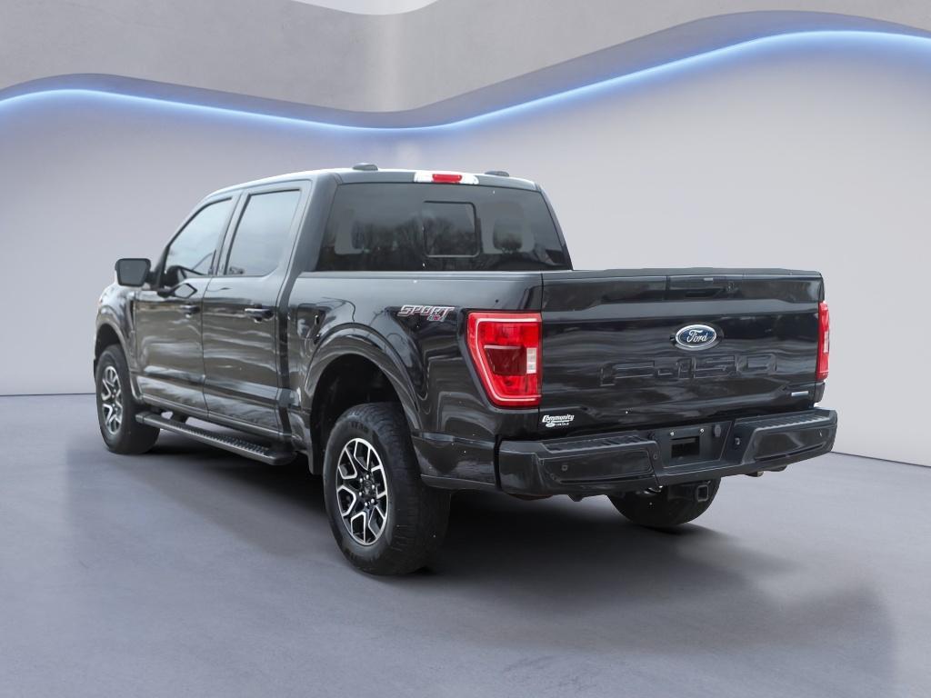 used 2023 Ford F-150 car