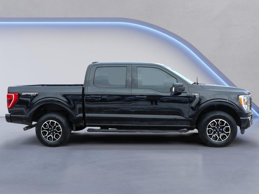 used 2023 Ford F-150 car