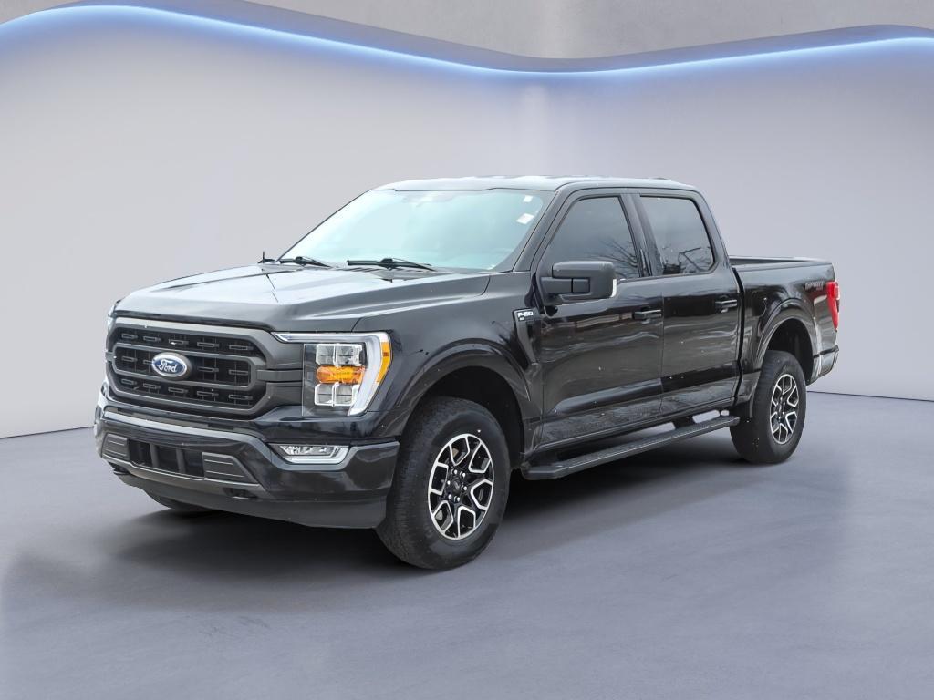 used 2023 Ford F-150 car