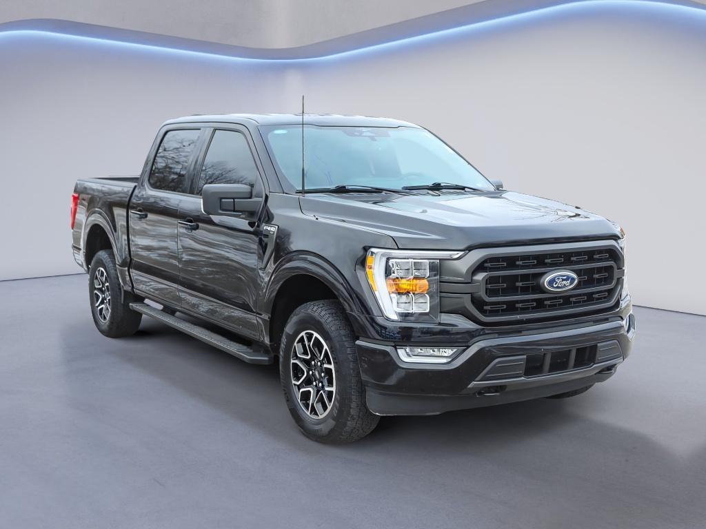 used 2023 Ford F-150 car