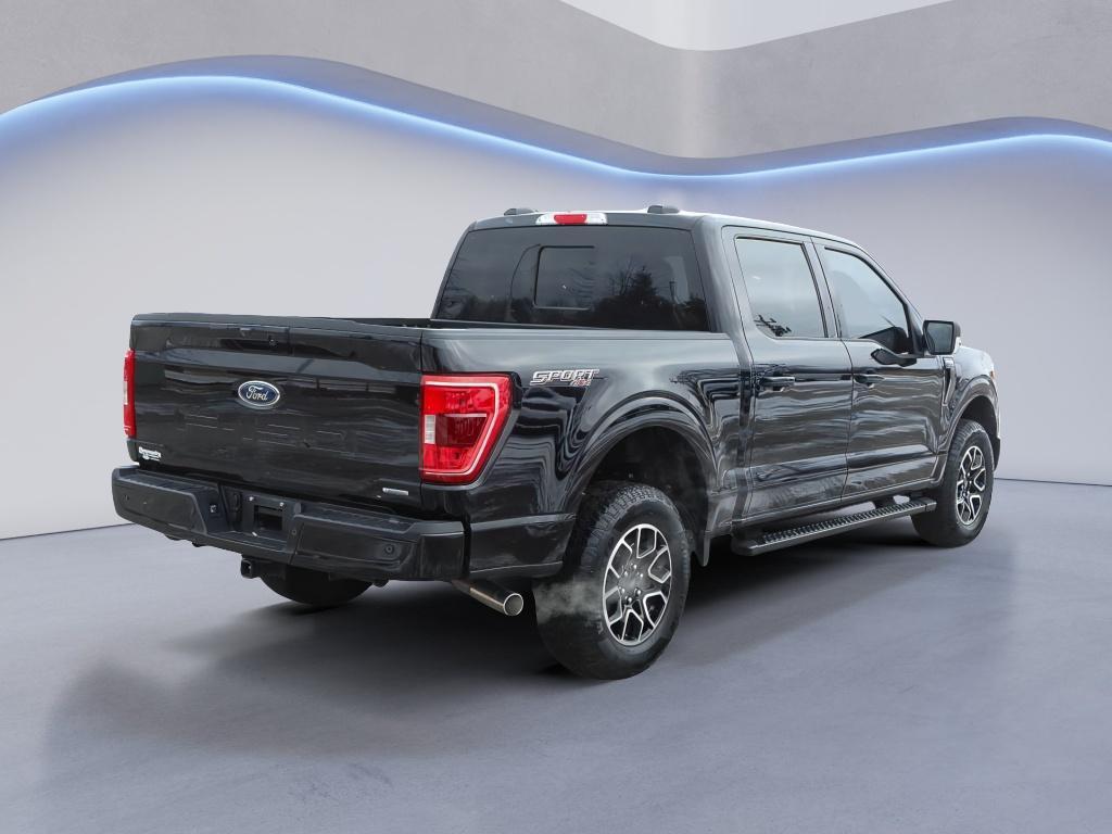 used 2023 Ford F-150 car