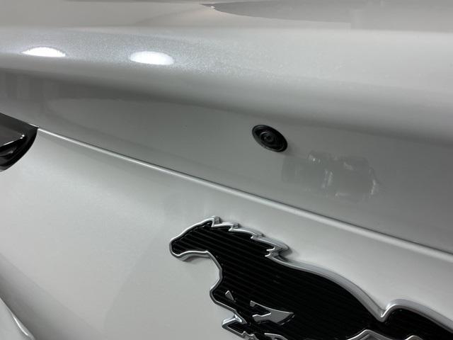 new 2025 Ford Mustang Mach-E car, priced at $48,235