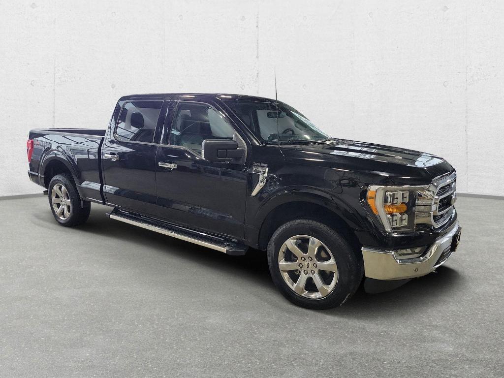 used 2023 Ford F-150 car, priced at $39,500