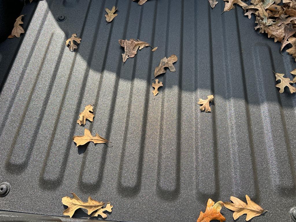 new 2025 Ford F-150 car, priced at $65,755