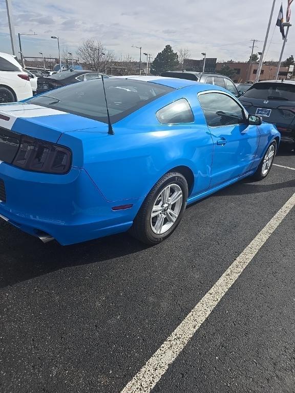 used 2014 Ford Mustang car, priced at $16,000