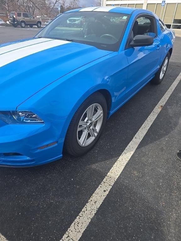 used 2014 Ford Mustang car, priced at $16,000