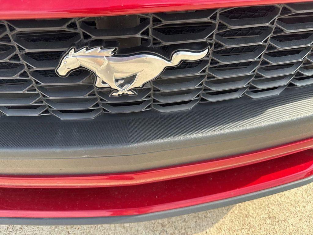 used 2024 Ford Mustang car