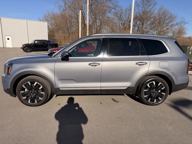 used 2024 Kia Telluride car, priced at $39,000