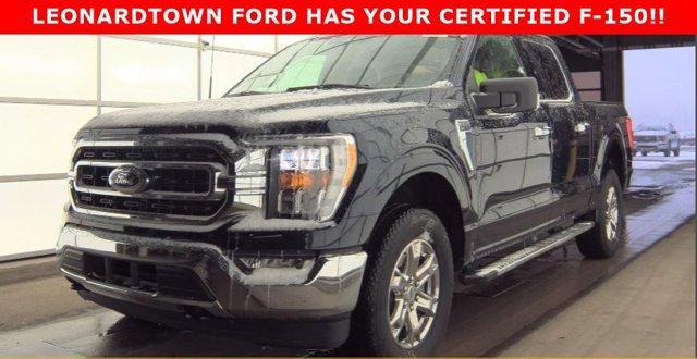 used 2023 Ford F-150 car