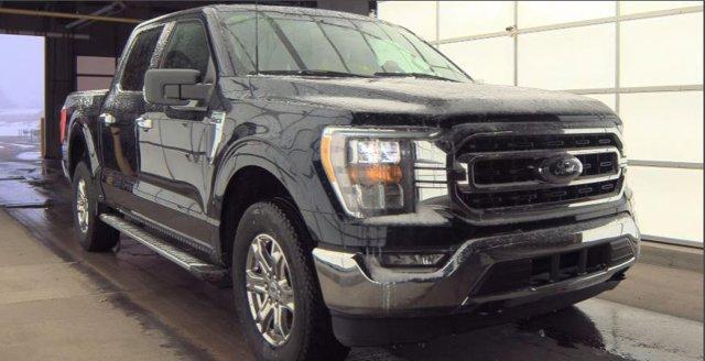 used 2023 Ford F-150 car