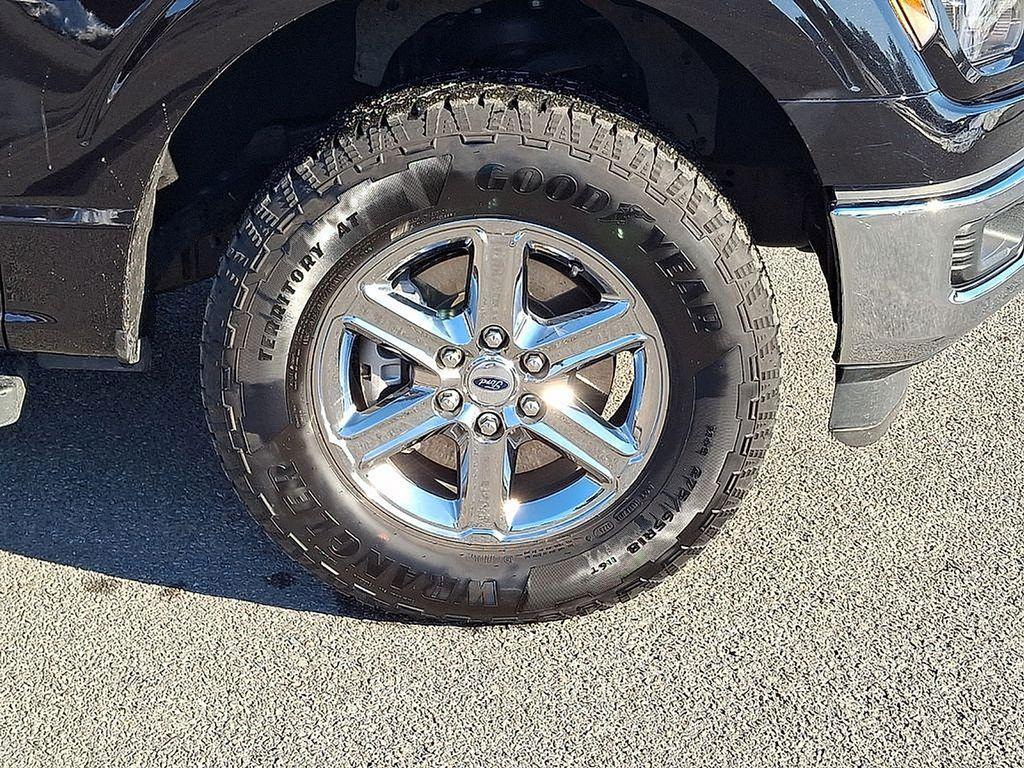 used 2025 Ford F-150 car