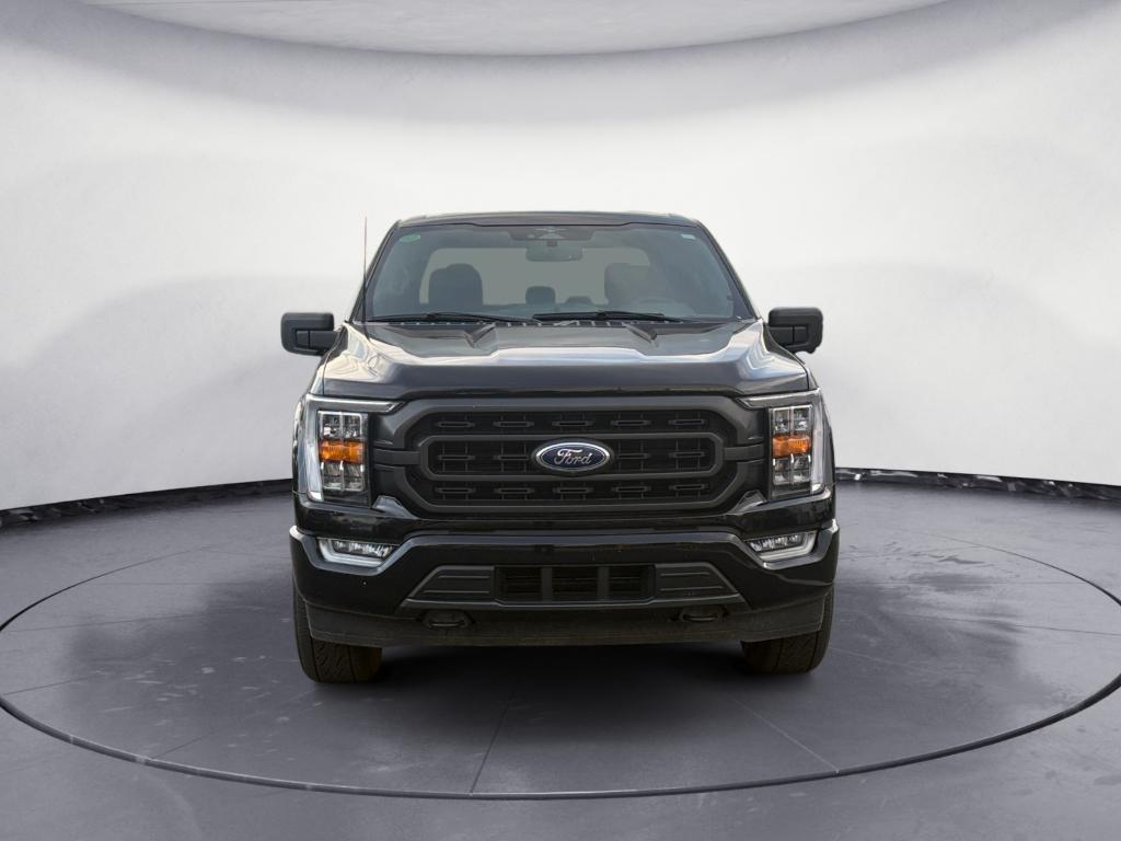 used 2023 Ford F-150 car, priced at $31,991